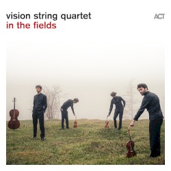Vision String Quartet