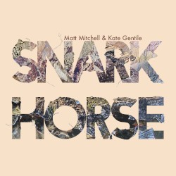 Matt Mitchell