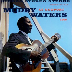 Muddy Waters