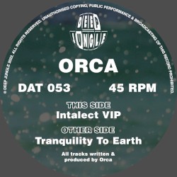 Tranquility to Earth / Intalect VIP