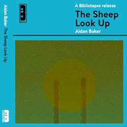 The Sheep Look Up