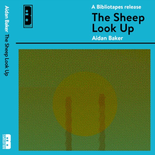 The Sheep Look Up