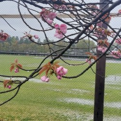 Come Through 2026.03