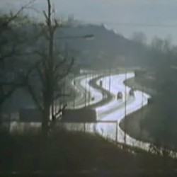 ✩₊˚.⋆ 守る者もいれば盗む者もいる ☾⋆⁺₊✧