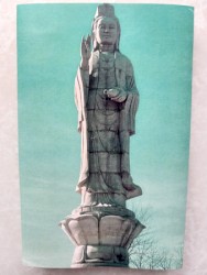 A House Made Of Cloud And Bone