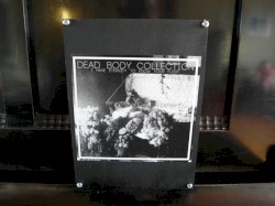 I Have Eternity To Know Your Flesh