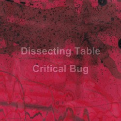 Critical Bug