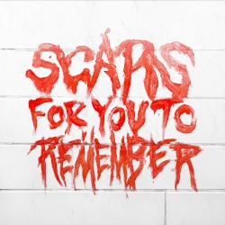 Scars for You to Remember