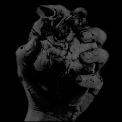 Compressed Heart Echo