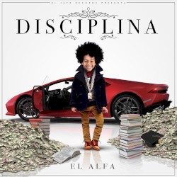 Disciplina