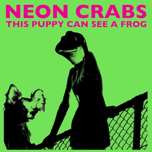 This Puppy Can See a Frog