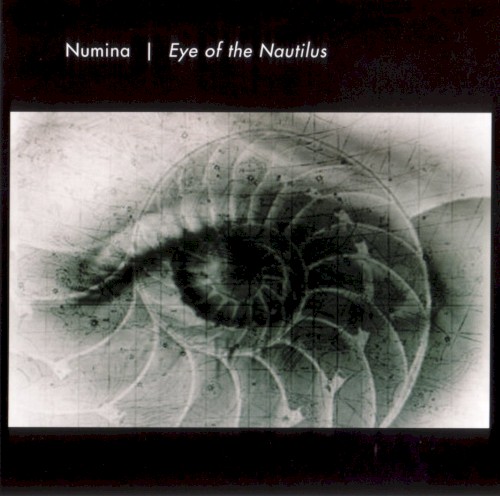 Eye of the Nautilus