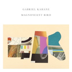 Magnificent Bird