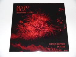 Wings Dipped in Fire