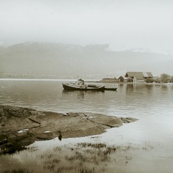 Infinite Loops: Kebijaksanaan