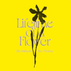 Lifetime of a Flower