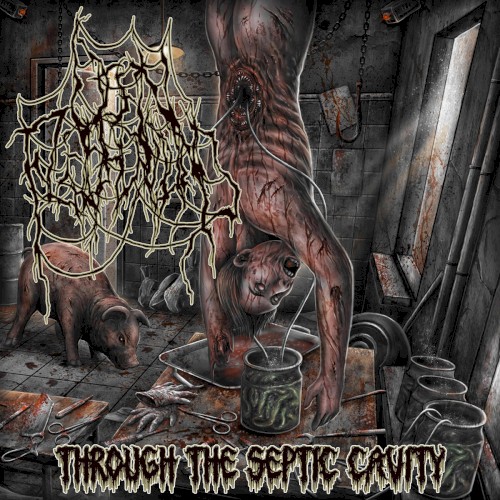 Through the Septic Cavity