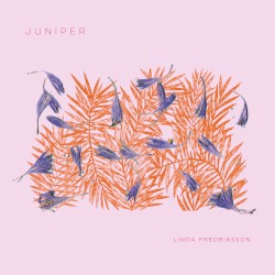 Juniper