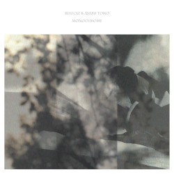 Monochrome