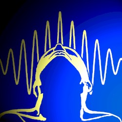 The Collapse of the Wave Function, Volume 5: The Transactional Interpretation