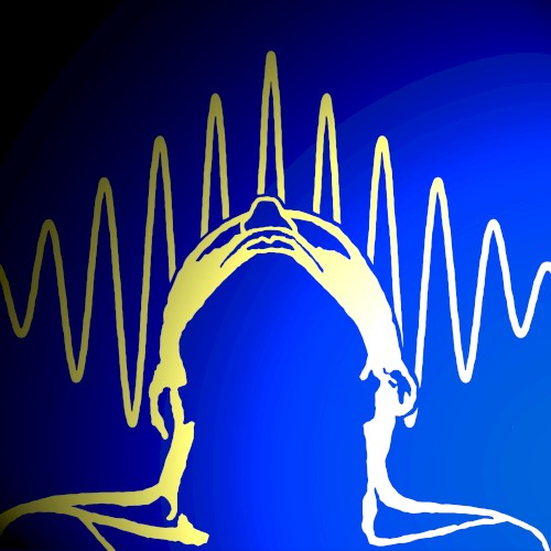 The Collapse of the Wave Function, Volume 5: The Transactional Interpretation