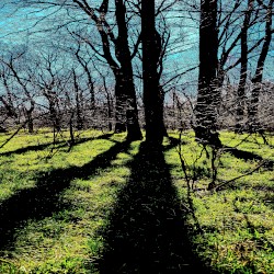 Music for Mental Health