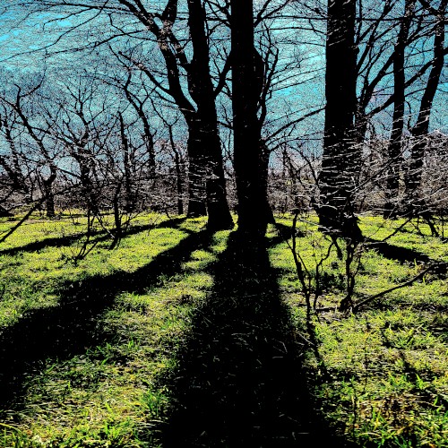 Music for Mental Health