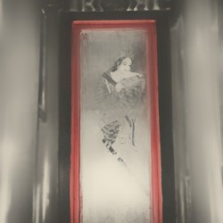 Dreams of Red Chambers