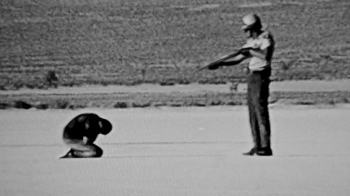 “Your Youngest and Strongest will fall by the Sword” (“ Les plus Jeunes et les plus Forts périront par le Glaive”)