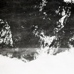 Near Miss
