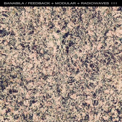 Feedback + Modular + Radiowaves III