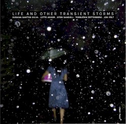 Life and Other Transient Storms