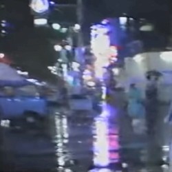 自由にしてくれ