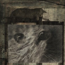 Why is it my friends are always there for me when I'm never there for them?