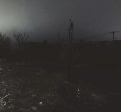 You Pulled Us Through the Stars and Left This World Behind