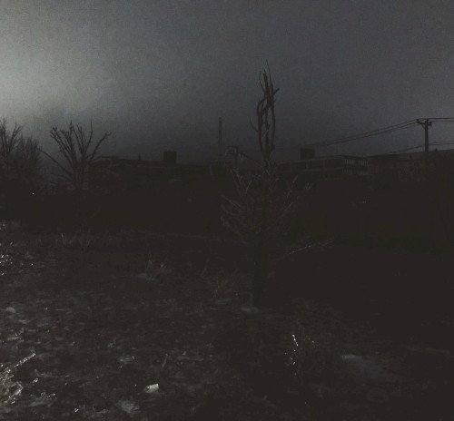 You Pulled Us Through the Stars and Left This World Behind