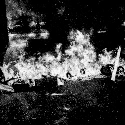 𝔚ℑ𝔏𝔇𝔉ℑℜ𝔈𝔖