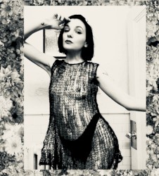 XI–XX Collection (I Wait in the Shadows)