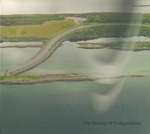 The Beauty of Exaggeration