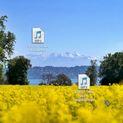 Life's A Joke... And God Is Laughing!