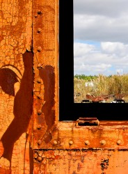 Body and Limbs Still Look to Light