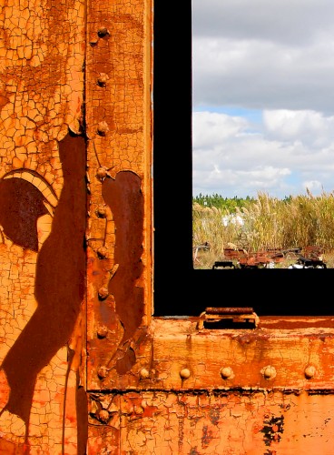 Body and Limbs Still Look to Light