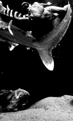 Necrotik Fissure / The Rita