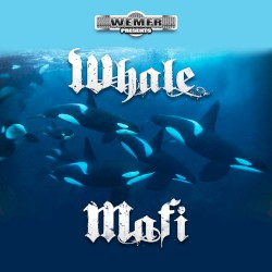 Whale Mafi