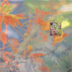 Dying Is the Internet