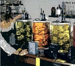 Alpha Lemur Echo Two