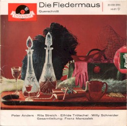 Die Fledermaus - Querschnitt