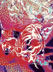 Crystaline Boomerang Echo Skyline