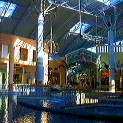 Aquatic Galleria