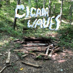 Cicada Waves